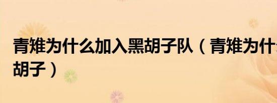 青雉为什么加入黑胡子队（青雉为什么加入黑胡子）