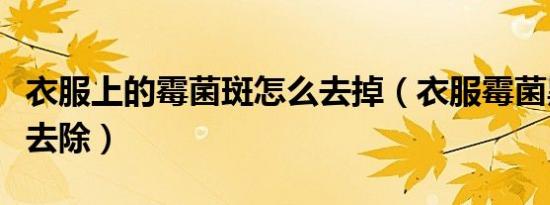 衣服上的霉菌斑怎么去掉（衣服霉菌黑斑怎么去除）