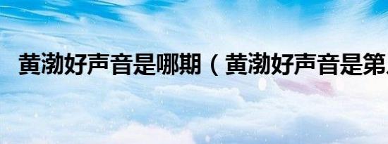 黄渤好声音是哪期（黄渤好声音是第几期）