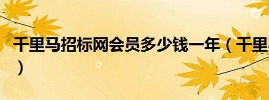 千里马招标网会员多少钱一年（千里马招标网）