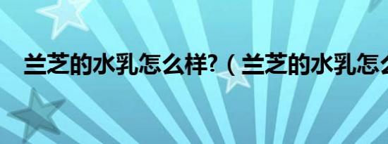兰芝的水乳怎么样?（兰芝的水乳怎么样）