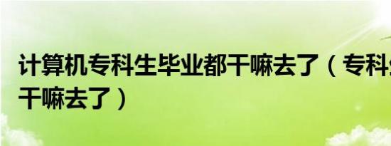 计算机专科生毕业都干嘛去了（专科生毕业都干嘛去了）