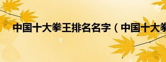 中国十大拳王排名名字（中国十大拳王）