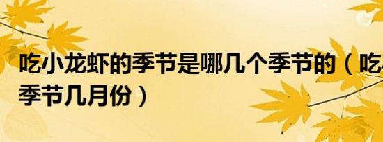 吃小龙虾的季节是哪几个季节的（吃小龙虾的季节几月份）