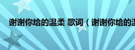 谢谢你给的温柔 歌词（谢谢你给的温柔）