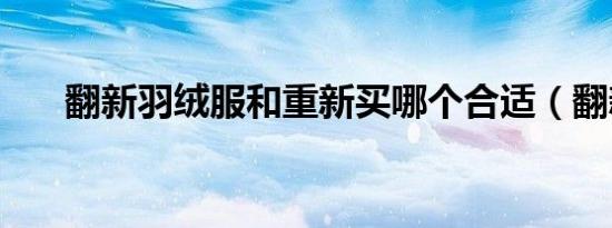 翻新羽绒服和重新买哪个合适（翻新）