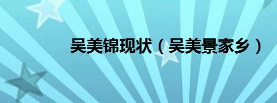 吴美锦现状（吴美景家乡）