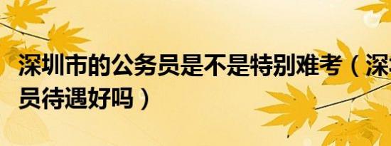 深圳市的公务员是不是特别难考（深圳考公务员待遇好吗）