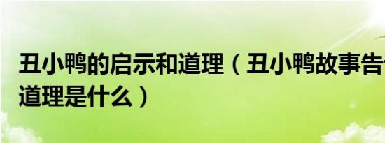丑小鸭的启示和道理（丑小鸭故事告诉我们的道理是什么）
