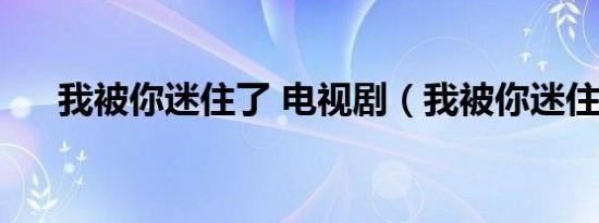 我被你迷住了 电视剧（我被你迷住了）