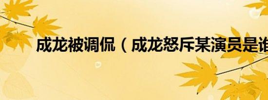 成龙被调侃（成龙怒斥某演员是谁）