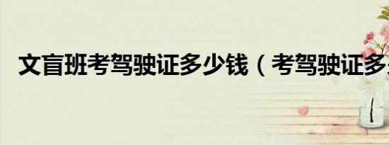文盲班考驾驶证多少钱（考驾驶证多少钱）