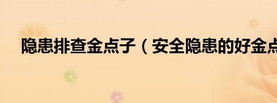 隐患排查金点子（安全隐患的好金点子）