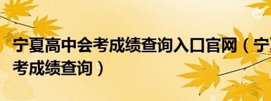 宁夏高中会考成绩查询入口官网（宁夏高中会考成绩查询）