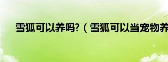 雪狐可以养吗?（雪狐可以当宠物养吗）