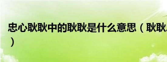 忠心耿耿中的耿耿是什么意思（耿耿忠心解释）