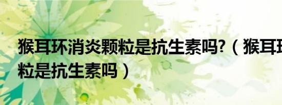 猴耳环消炎颗粒是抗生素吗?（猴耳环消炎颗粒是抗生素吗）
