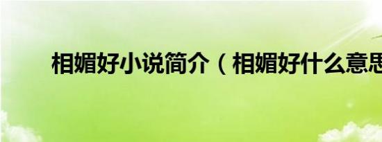 相媚好小说简介（相媚好什么意思）