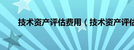 技术资产评估费用（技术资产评估）