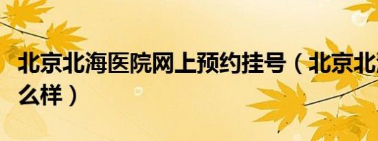 北京北海医院网上预约挂号（北京北海医院怎么样）