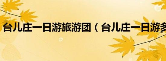 台儿庄一日游旅游团（台儿庄一日游多少钱）