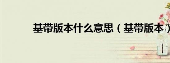 基带版本什么意思（基带版本）