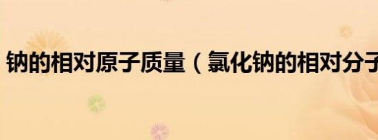 钠的相对原子质量（氯化钠的相对分子质量）