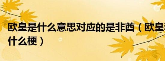 欧皇是什么意思对应的是非酋（欧皇和非酋是什么梗）
