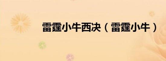 雷霆小牛西决（雷霆小牛）