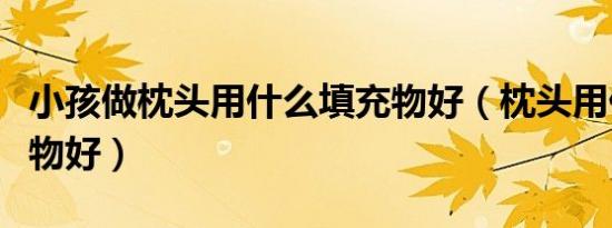 小孩做枕头用什么填充物好（枕头用什么填充物好）