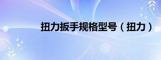 扭力扳手规格型号（扭力）