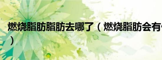 燃烧脂肪脂肪去哪了（燃烧脂肪会有什么感觉）
