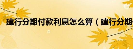 建行分期付款利息怎么算（建行分期付款）