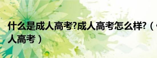什么是成人高考?成人高考怎么样?（什么是成人高考）