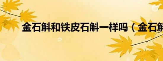 金石斛和铁皮石斛一样吗（金石斛）
