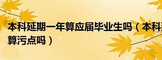 本科延期一年算应届毕业生吗（本科延期一年算污点吗）