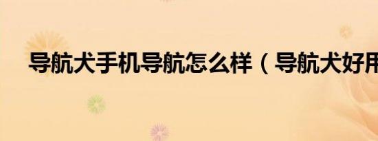 belocatedin翻译中文（be located in）