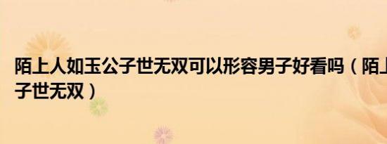 陌上人如玉公子世无双可以形容男子好看吗（陌上人如玉 公子世无双）