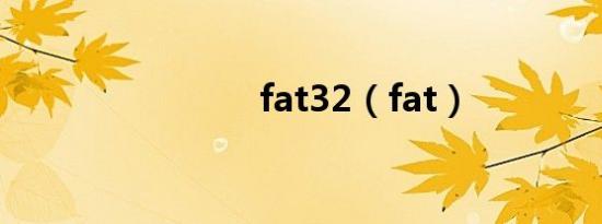 fat32（fat）