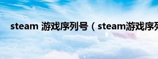 steam 游戏序列号（steam游戏序列号）