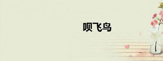 呗飞鸟
