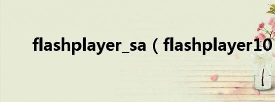 flashplayer_sa（flashplayer10 1）