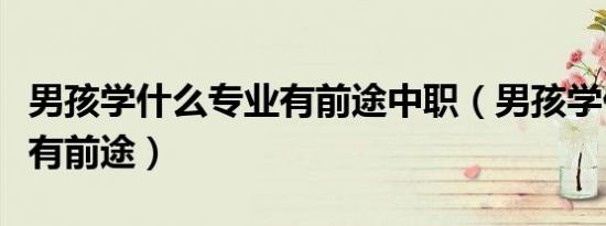 男孩学什么专业有前途中职（男孩学什么专业有前途）