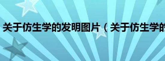 关于仿生学的发明图片（关于仿生学的发明）
