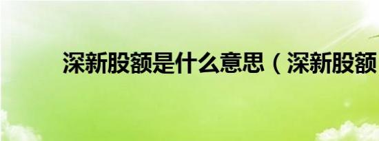 深新股额是什么意思（深新股额）