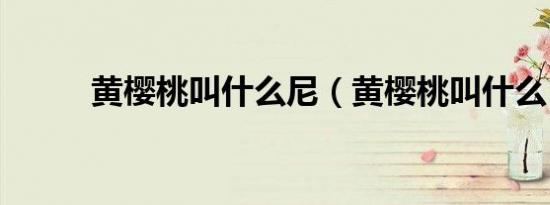 黄樱桃叫什么尼（黄樱桃叫什么）