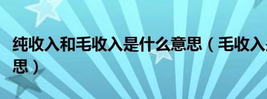 纯收入和毛收入是什么意思（毛收入是什么意思）