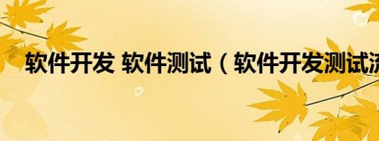 软件开发 软件测试（软件开发测试流程）