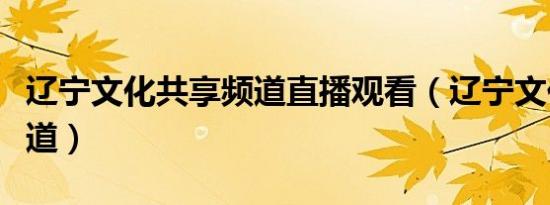 辽宁文化共享频道直播观看（辽宁文化共享频道）
