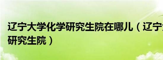辽宁大学化学研究生院在哪儿（辽宁大学化学研究生院）